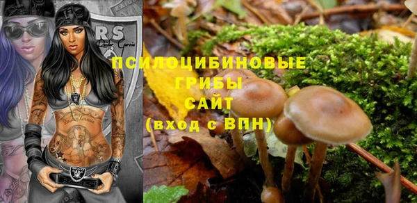 спиды Алзамай