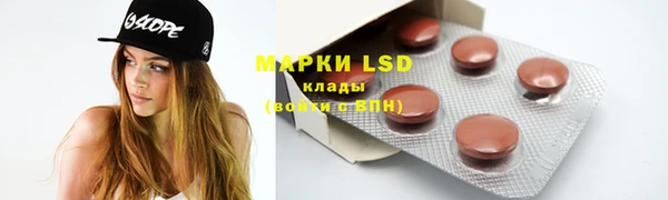 прущие грибы Алексеевка
