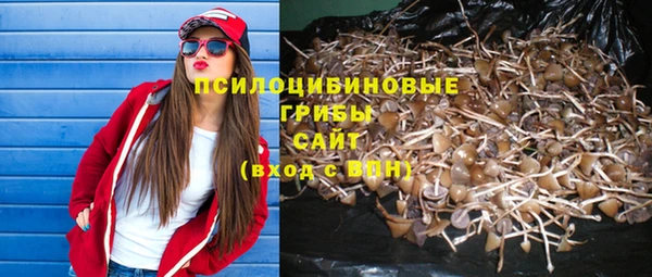 прущие грибы Алексеевка