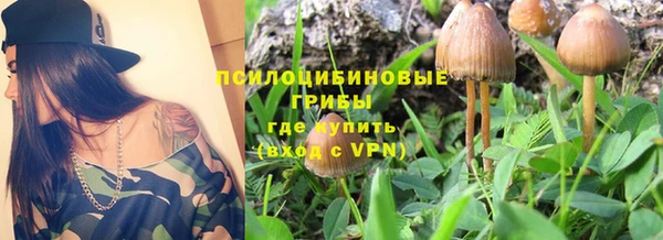 прущие грибы Алексеевка