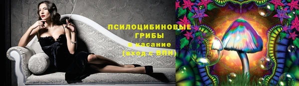 спиды Алзамай